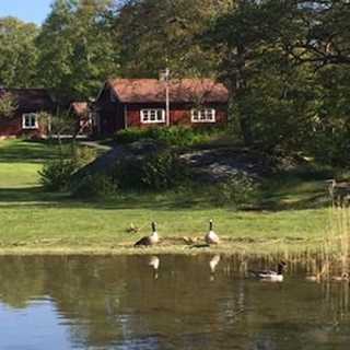 Östersjöns miljö och trollsländor i Skåne