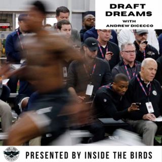 Inside the Birds: A Philadelphia Eagles Podcast