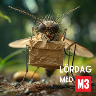 Lördag med M3