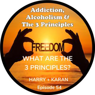 Ep. 54-What are the 3 Principles?