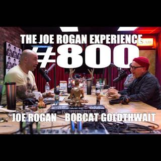 The Joe Rogan Experience