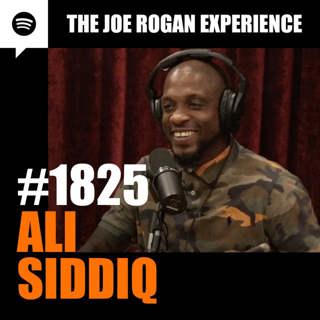 #1825 - Ali Siddiq