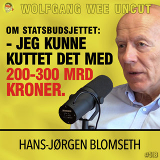 Hans-Jørgen Blomseth | Det Norske Byråkratiet, Offentlig Sløsing, Skatt, Støres Regjering, Uføre, Trygd, Finansminister Vedum, Forenklingsgeneralen