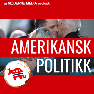 Amerikansk politikk