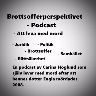 Brottsofferperspektivet