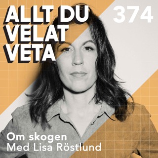 Allt du velat veta