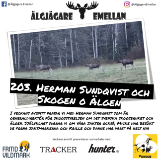 Älgjägare emellan