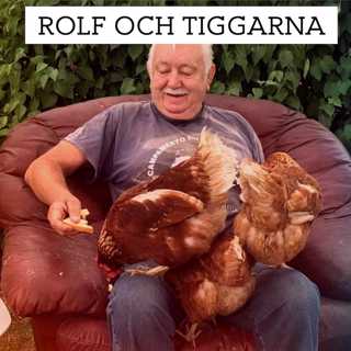 Rolf och tiggarna: En misstänk liga flyttar in