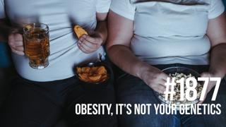 1877: Obesity, It’s Not Your Genetics