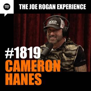 The Joe Rogan Experience