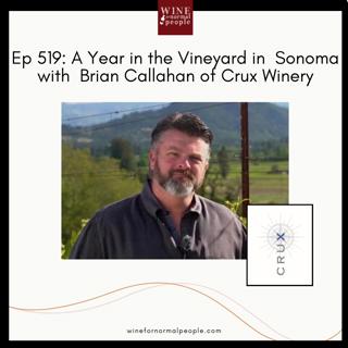 Ep 519: A Year in the Vineyard in Sonoma with Brian Callahan of Crux Winery