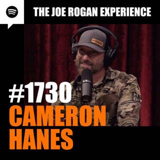 The Joe Rogan Experience