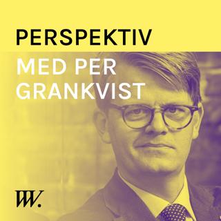 Perspektiv - med Per Grankvist