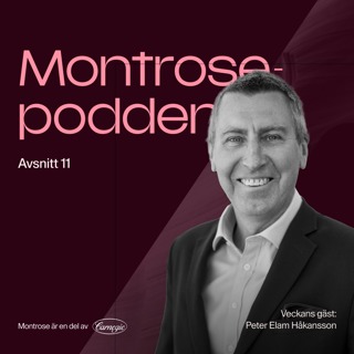 Montrosepodden