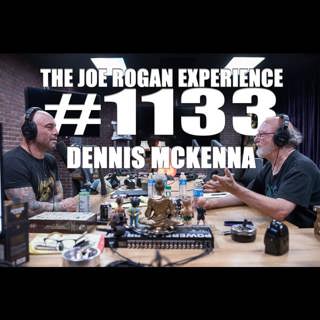 #1133 - Dennis McKenna