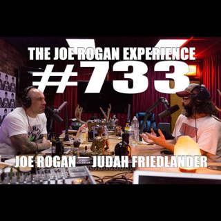 #733 - Judah Friedlander