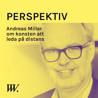 Perspektiv - med Per Grankvist