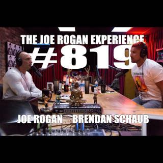 #819 - Brendan Schaub