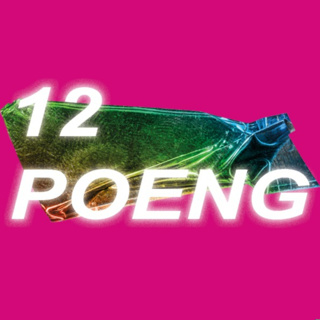 12 Poeng