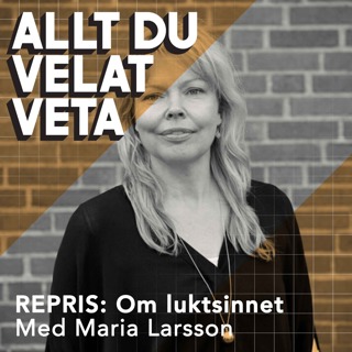 Allt du velat veta