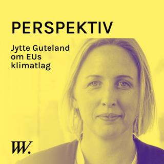 Perspektiv - med Per Grankvist