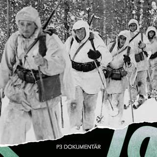 Svenskarna i finska vinterkriget