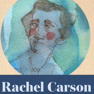 Rachel Carson (repris)