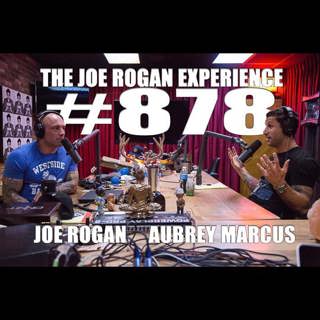 The Joe Rogan Experience