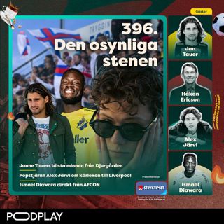 396. Den osynliga stenen