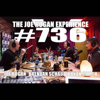 #736 - Brendan Schaub & Bryan Callen