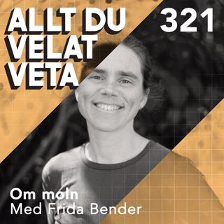 Allt du velat veta