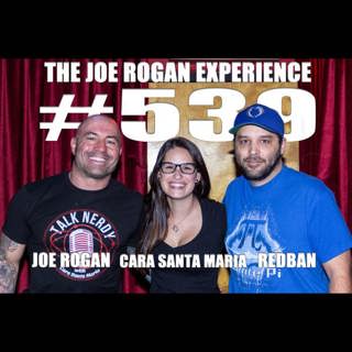 The Joe Rogan Experience