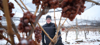 Friends of the Pod Series -- Ep 296: Boundary Breaks of the Finger Lakes, Where Terroir Reigns Supreme