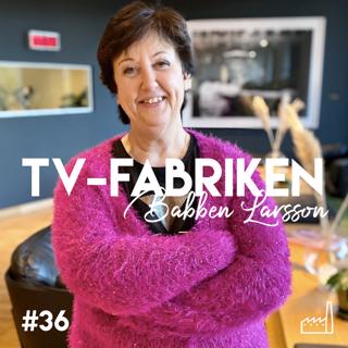 TV-fabriken