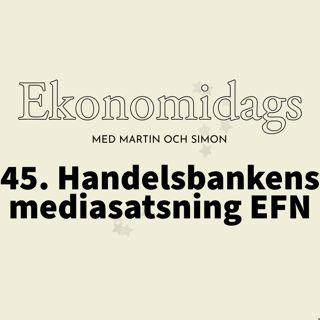 45. Handelsbankens mediasatsning EFN