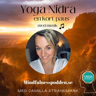 Yoga Nidra - en kort paus (med musik 🎵)