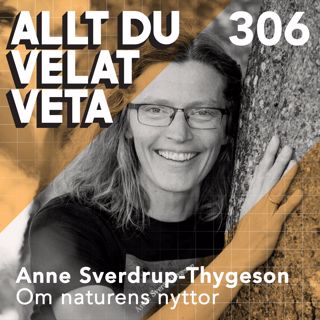 Allt du velat veta