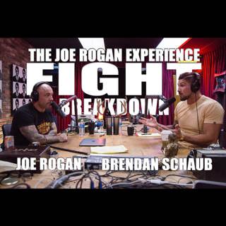 The Joe Rogan Experience