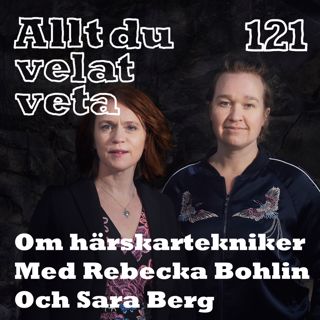 Allt du velat veta