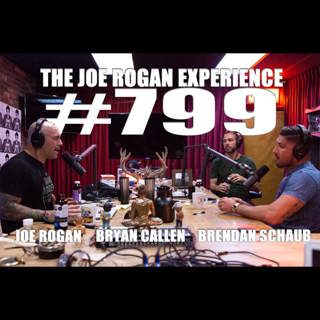 #799 - Brendan Schaub & Bryan Callen