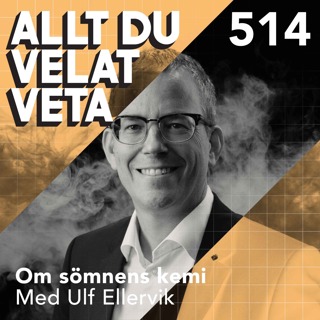 Allt du velat veta