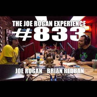 The Joe Rogan Experience