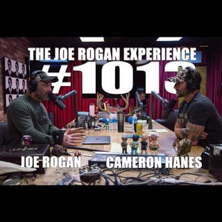 The Joe Rogan Experience