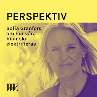 Perspektiv - med Per Grankvist