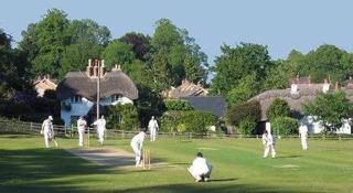 473. Explaining the Rules of Cricket (with Dad)