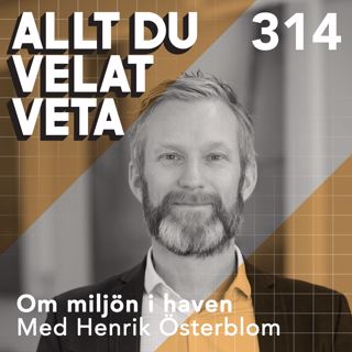 Allt du velat veta