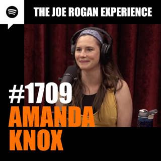 The Joe Rogan Experience