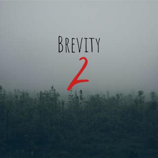 31: Brevity 2