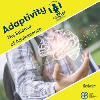 Adaptivity: The Science of Adolescence