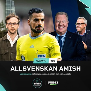 #83 Allsvenskan Amish